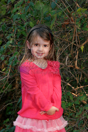 _MG_3904a