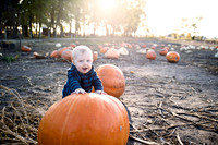 _MG_9618a