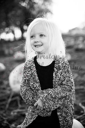 _MG_9604abw
