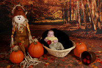 IMG_0216.JPG