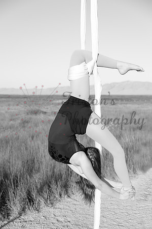 5I4A2412bw