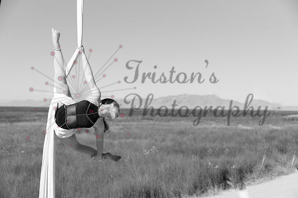 5I4A3118bw