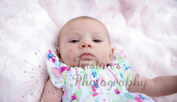 IMG_2756a