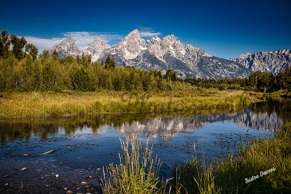 Tetonsf