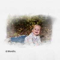6 months