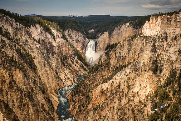 Yellowstonegrandcanyonf