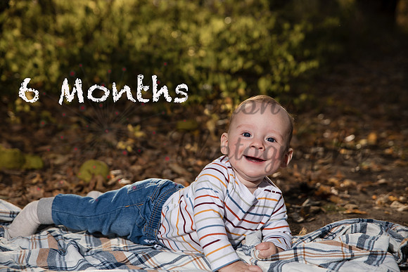 QS4A64316months